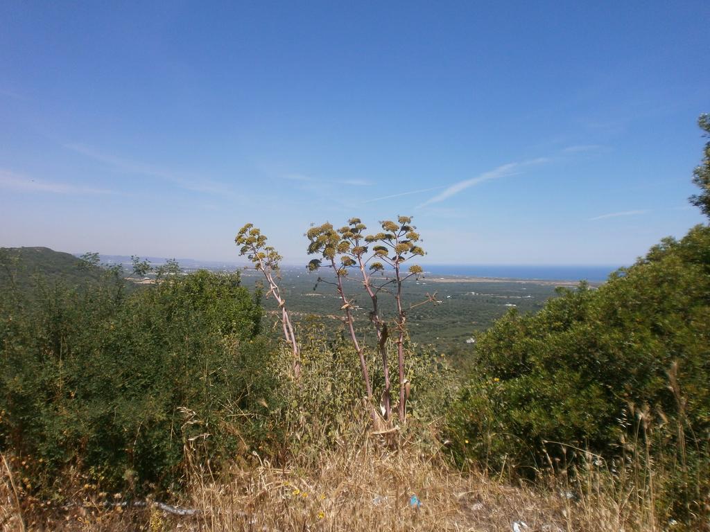 Trullo Villa Giuliana Con Giardino Posizione Panoramica Free Wifi Ostuni Pokoj fotografie