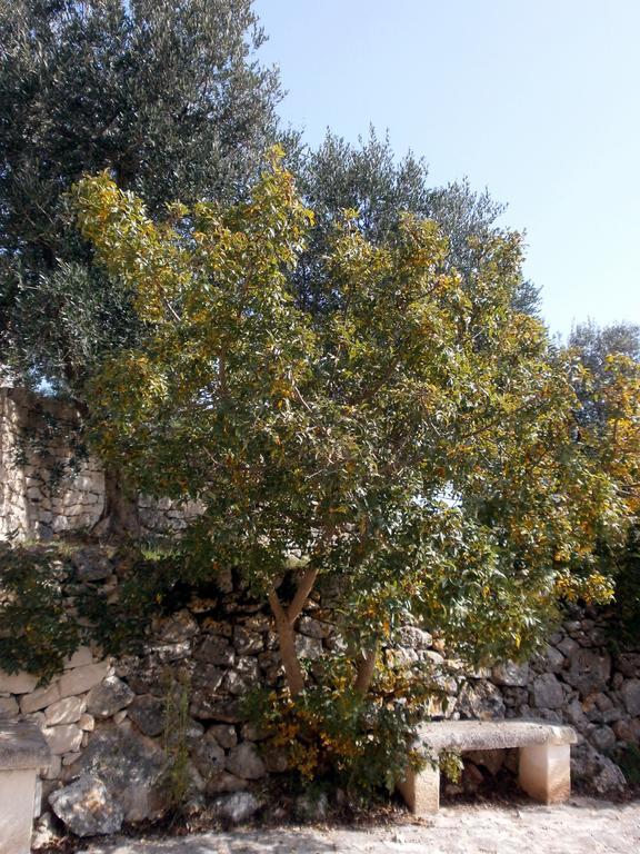 Trullo Villa Giuliana Con Giardino Posizione Panoramica Free Wifi Ostuni Pokoj fotografie